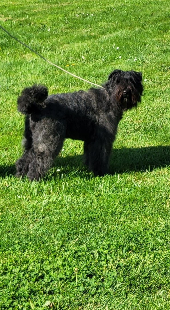 Ubani-Istan Du Bain du Roy